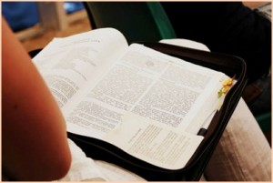 freetime (14)  